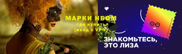 амф Дмитриев