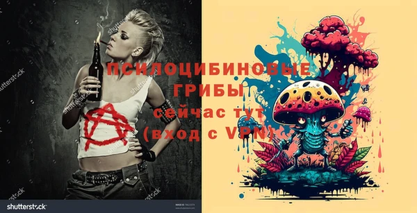 амф Дмитриев