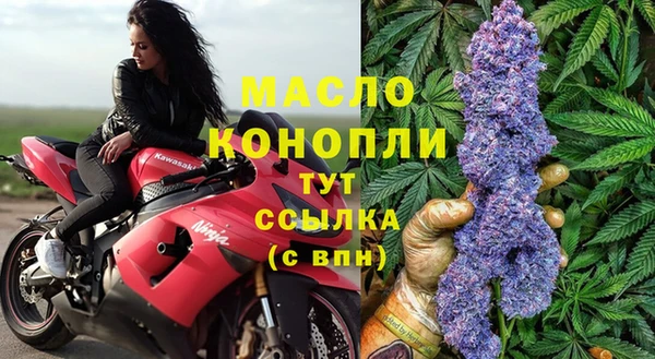 амф Дмитриев