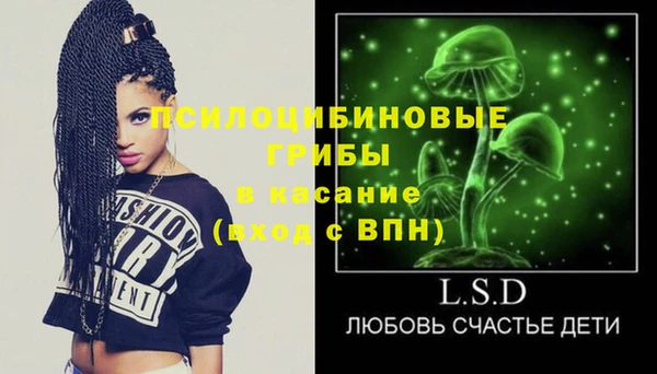 spice Дмитров